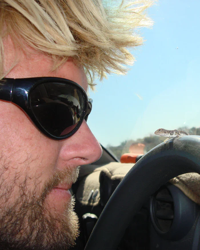 Morphine Sunglasses